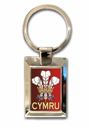 Cymru Feathers metal keyring